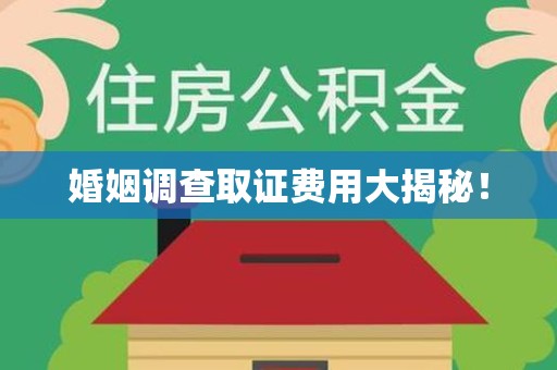 信丰婚姻调查取证费用大揭秘！