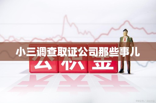 信丰小三调查取证公司那些事儿