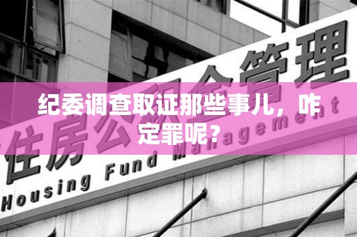 信丰纪委调查取证那些事儿，咋定罪呢？