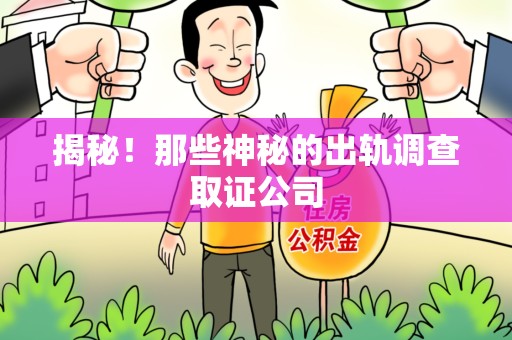 信丰揭秘！那些神秘的出轨调查取证公司