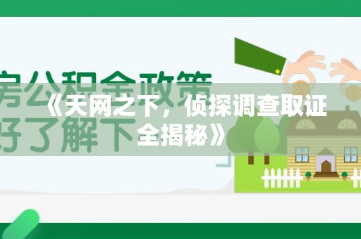 信丰《天网之下，侦探调查取证全揭秘》