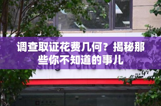 信丰调查取证花费几何？揭秘那些你不知道的事儿