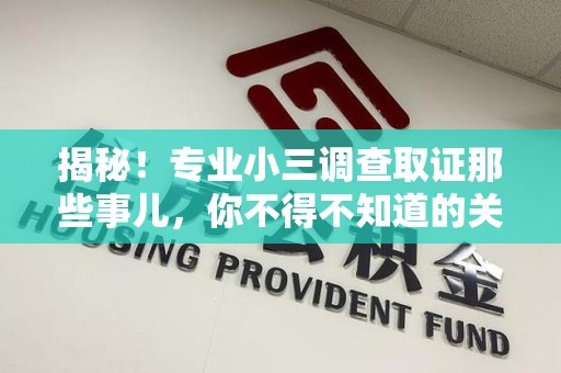 信丰揭秘！专业小三调查取证那些事儿，你不得不知道的关键点