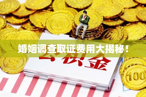 信丰婚姻调查取证费用大揭秘！