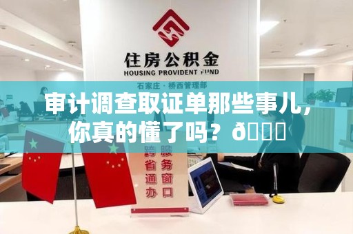 信丰审计调查取证单那些事儿，你真的懂了吗？😎